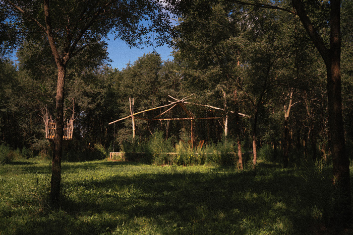 lost woods music festival cedar falls iowa